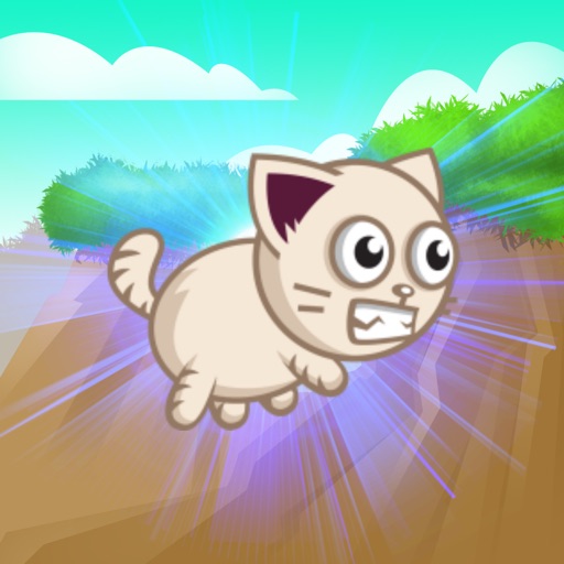 Fast Cat Run Pro iOS App