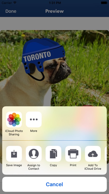 Toronto Hockey Stickers & Emojis screenshot-4