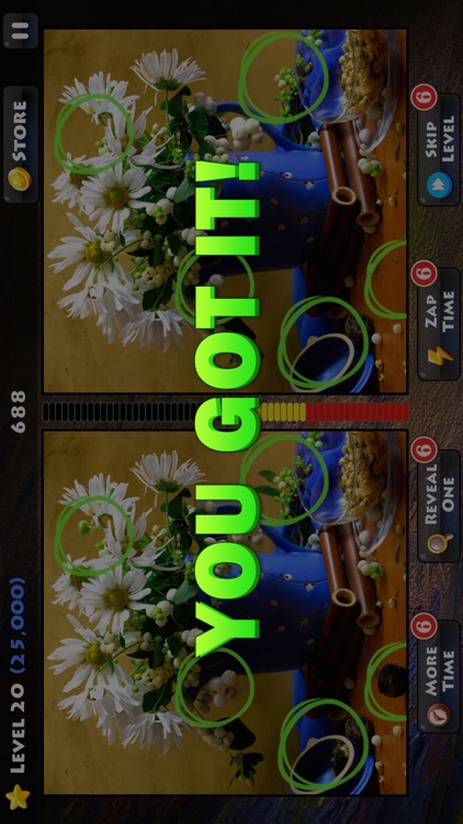 Spot The Difference? - Find the Hidden Objects screenshot-4