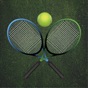 Tennis Training and Coaching PRO app download