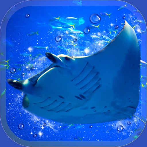 Aquarium Manta Simulation Game Icon