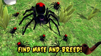 How to cancel & delete Black Widow Insect Spider Life Simulator from iphone & ipad 3