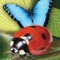 Grab your net and jar and prepare to discover the amazing world of bugs