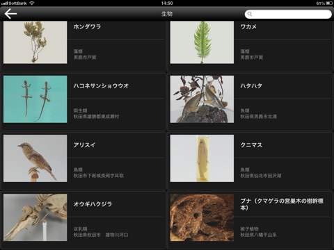 秋田県博HD screenshot 3