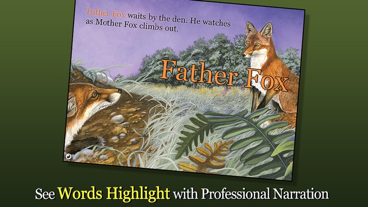 Red Fox at Hickory Lane - Smithsonian's Backyard