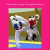 Taekwondo strength training back workout