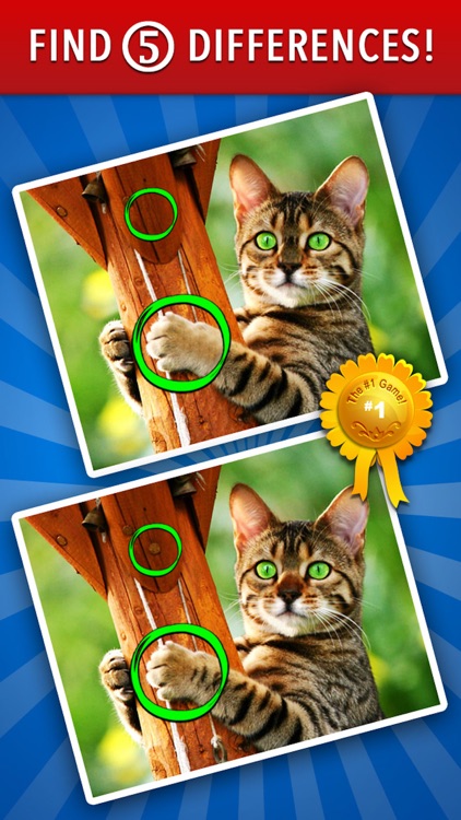 Find the Differences! ~ Free Photo Puzzle Games