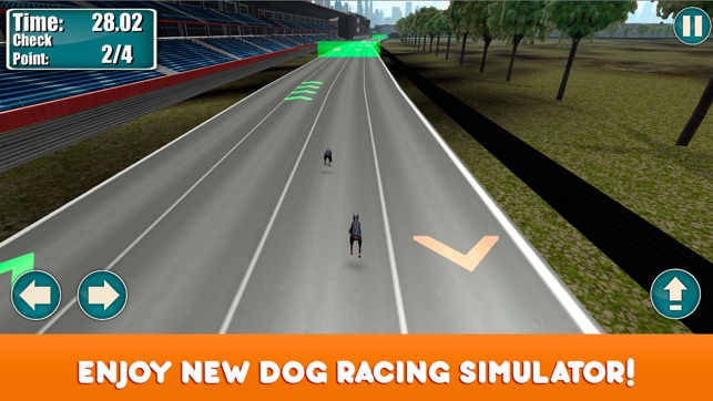 Greyhound Dog Racing Tournament(圖1)-速報App