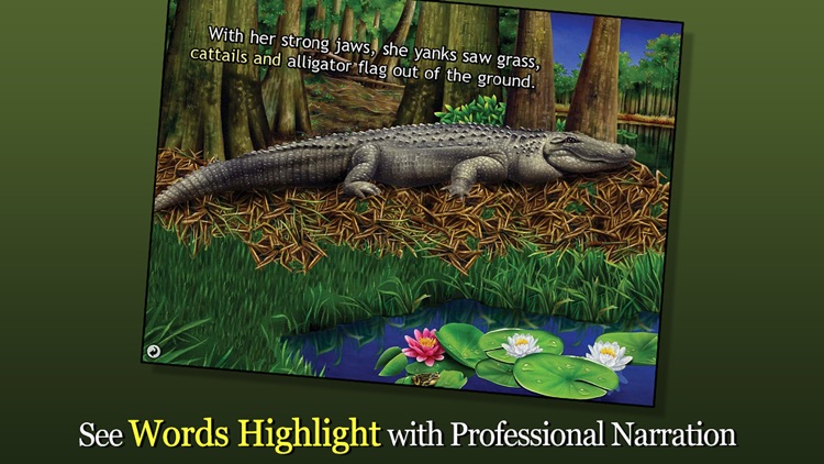 Alligator at Saw Grass Road - Smithsonian's