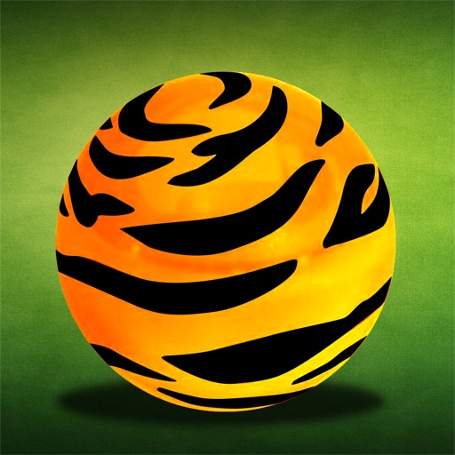 TigerBall Icon