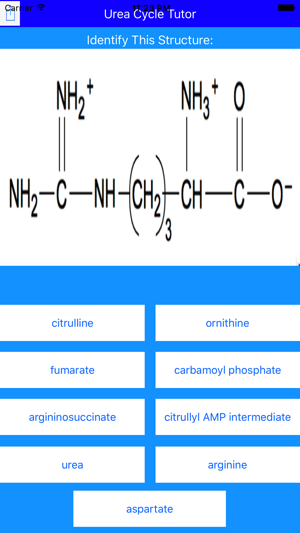 Urea Cycle Tutor(圖1)-速報App