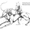 Monarchenhuegel Greyhound