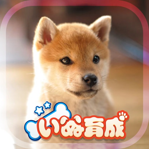 幸せの柴犬育成ゲーム3D