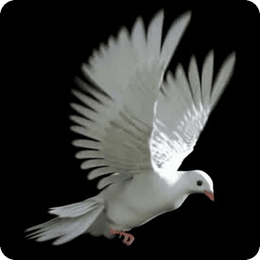 Flap Pigeon Flap iOS App