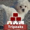 TriPeaks Puppies - iPhoneアプリ