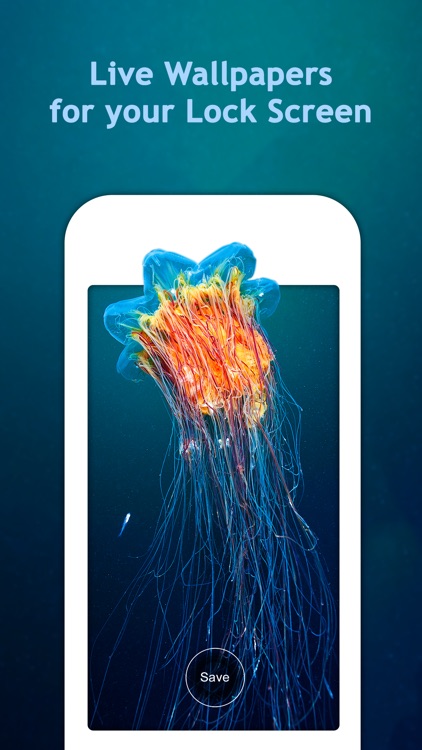 Aquarium Live HD Wallpapers for Lock Screen