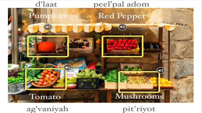 HebrewVision Food Screenshot 5