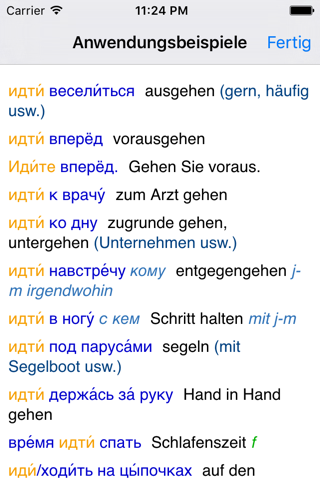 Lingea Russian-German Advanced Dictionary screenshot 3