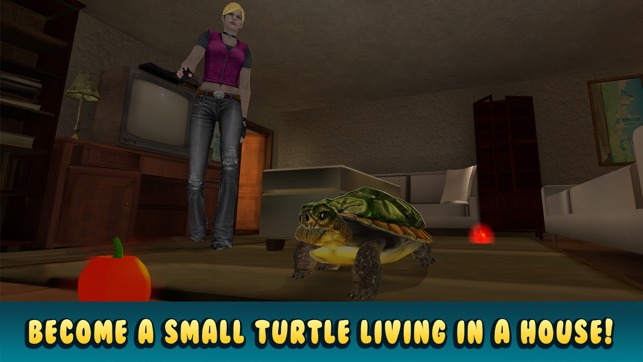 Turtle Simulator: House Pet Life(圖1)-速報App