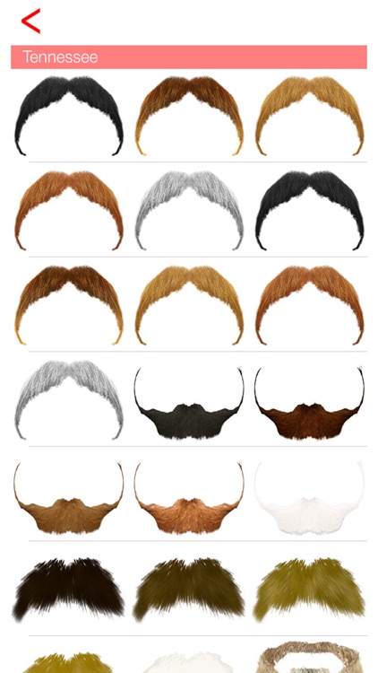 Mustache & Beard Me Editor Pro