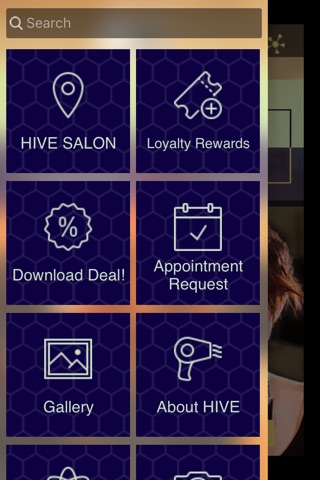 Hive Salon Kalamazoo screenshot 2