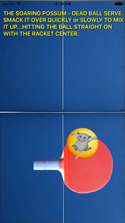 PongMaster