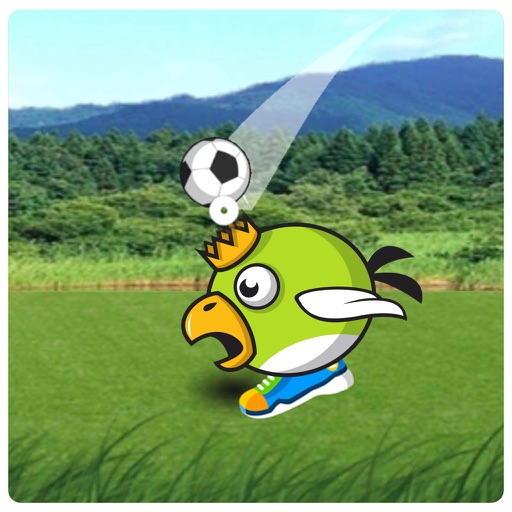 Animal Head Soccer iOS App
