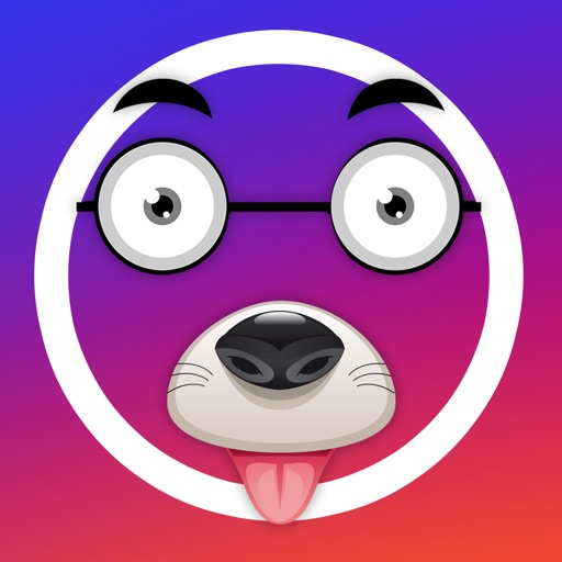 funny pictures for instagram app