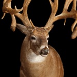 2016 3D Big Deer  Hunting Sniper Survival Free