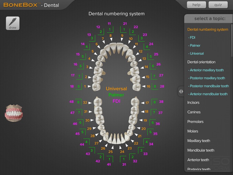 BoneBox™ - Dental Pro