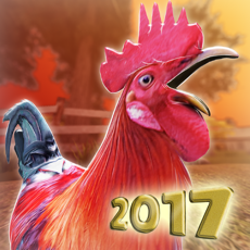 Activities of Chicken Day . Farm Chick Runner 2017