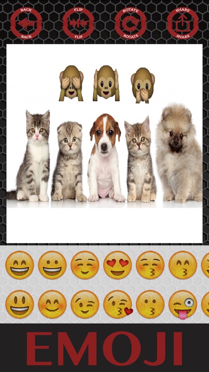 Emoji stickers photo editor sticker maker screenshot-4