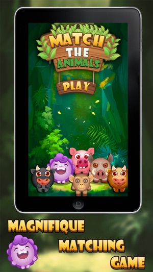 Match The Animals 3D