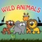Icon Wild Animals Savanna Sounds