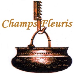 hotel champs fleuris ****