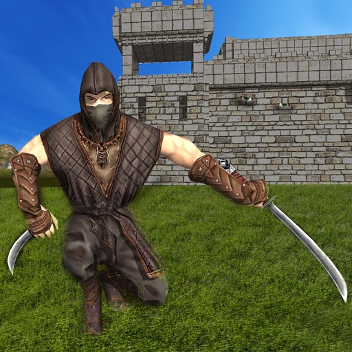 Ninja Warrior Assassin Mission 3D Icon