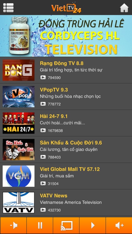Viet TV24