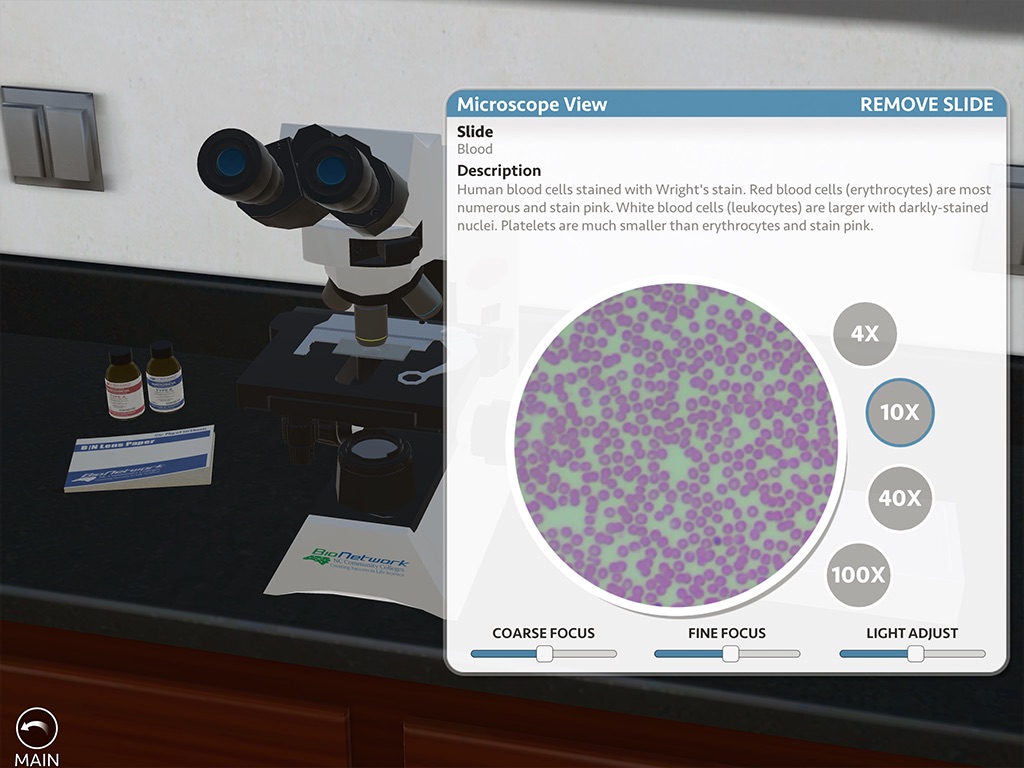 BioNetwork: Virtual Microscope screenshot 4