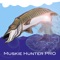 This is the "Pro" iPad application designed specifically for Muskie fishing, to maximize the experience for any angler from beginner to expert