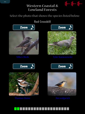 Kea: Create Birding Quiz Games screenshot 2