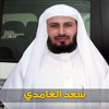 saad al ghamidi - سعد الغامدي
