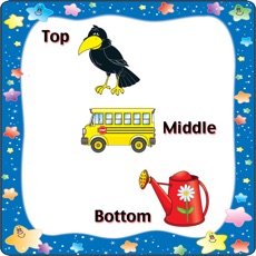 Activities of Top Middle Bottom