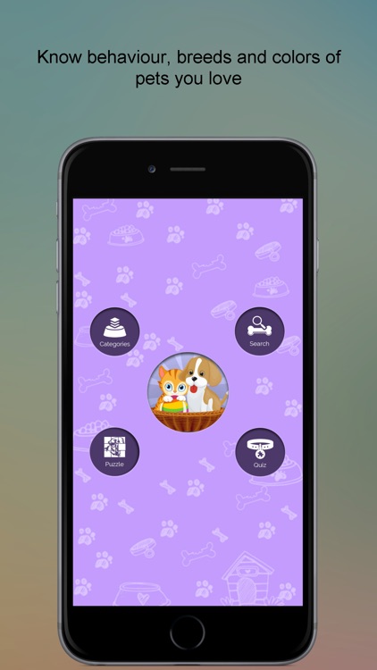 Little Smart Hamster Pets Life for Android - Free App Download