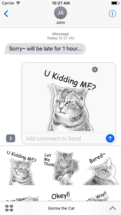 Gorma the Cat