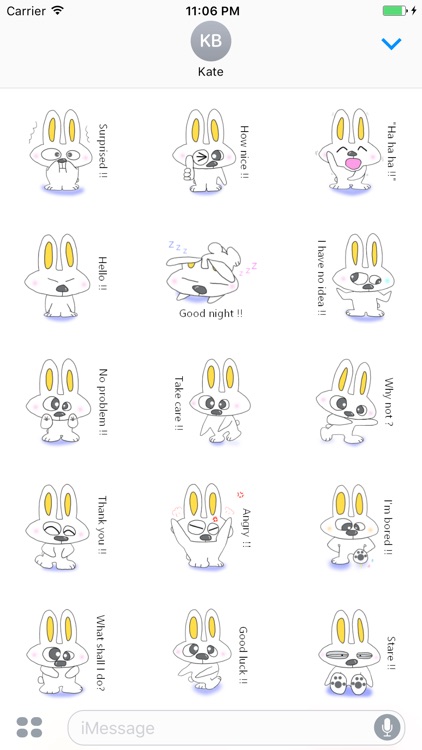 Ford The Cutest Bunny English Stickers