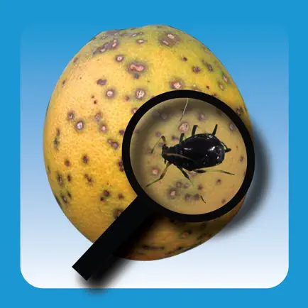 Protect U.S. Citrus Diseases and Pests Читы