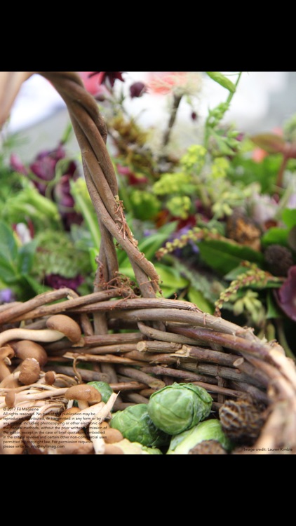 Fil Magazine screenshot-3