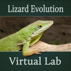 Top 39 Education Apps Like Lizard Evolution Virtual Lab - Best Alternatives