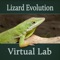 The virtual lab includes four modules that investigate different concepts in evolutionary biology, including adaptation, convergent evolution, phylogenetic analysis, reproductive isolation, and speciation