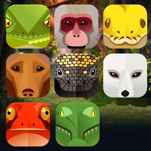 Animal Blocks Line Icon